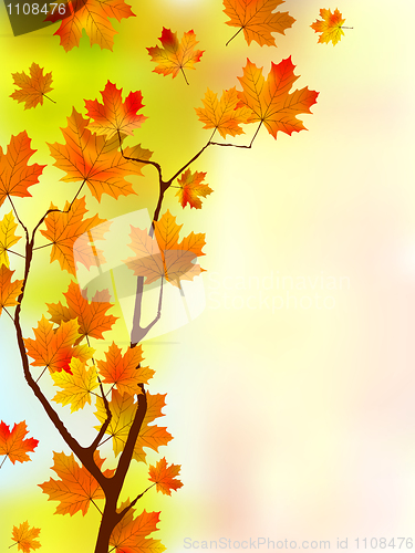 Image of Autumn silk floral leaves.