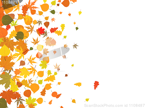 Image of Fallen autumn leaves background