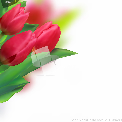 Image of Spring holiday red tulip.