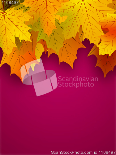 Image of Yellow fall leaves on a red background.
