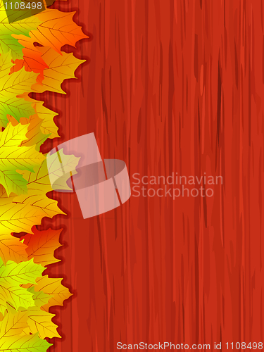 Image of Fall coloured leaves. EPS 8 vector file included