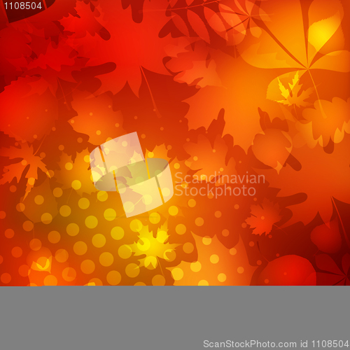 Image of Soft warm dotted Autumn leaves