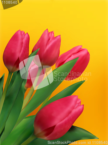 Image of Bouquet of tulips.