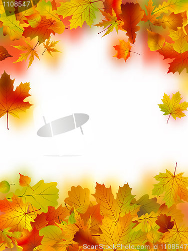 Image of Autumn Leaves