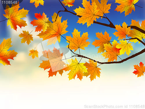 Image of Fall leaves in front of blue sky with clouds.