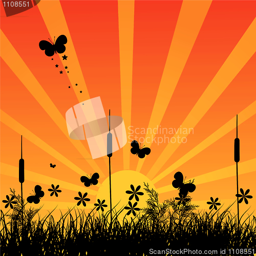 Image of Grass silhouette on meadow
