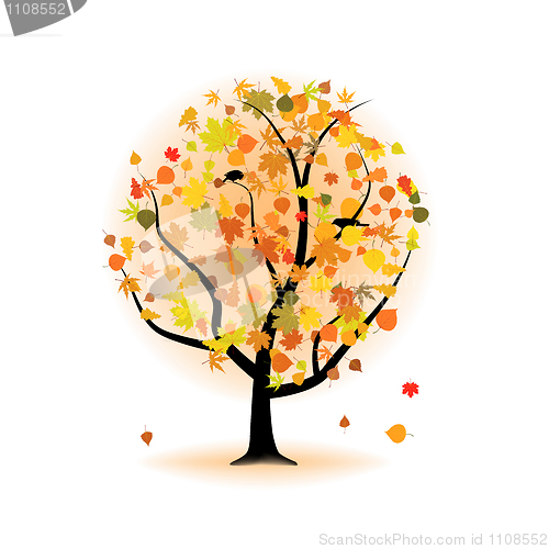 Image of Maple tree, autumn leaf fall.