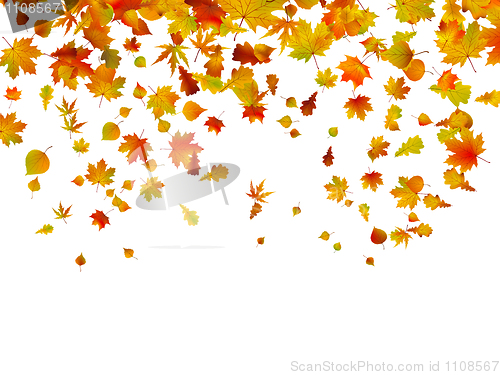 Image of Background of autumn leaves.