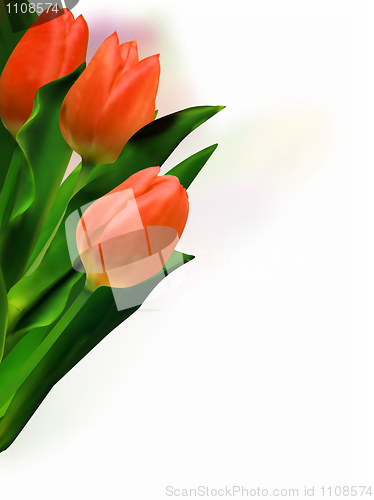Image of Bunch of beautiful tulips.