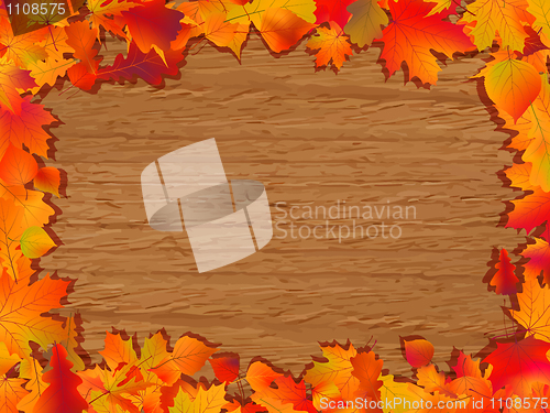 Image of Autumn background with colored leaves.