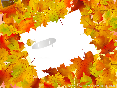 Image of Autumn frame turned at an angle