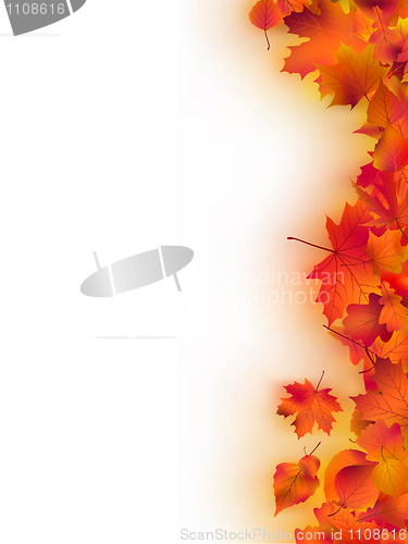 Image of Autumn Leaves