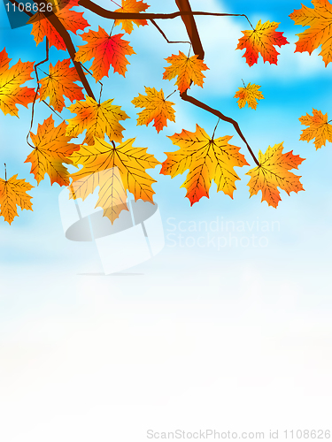 Image of Autumn colored leaf on blue sky.