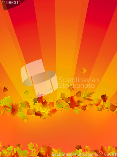 Image of Autumn vector background