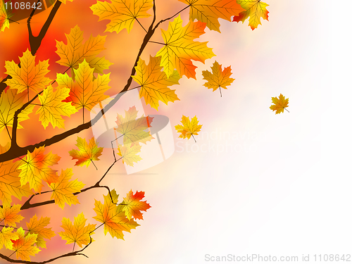 Image of Warm colors of Autumn.