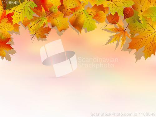 Image of Autumn colorful backround.