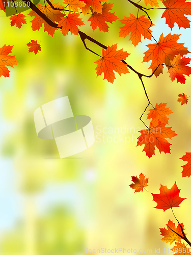 Image of Autumn leaves border for your text.