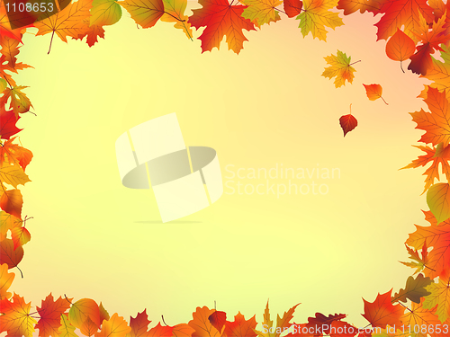 Image of Fall leaves frame