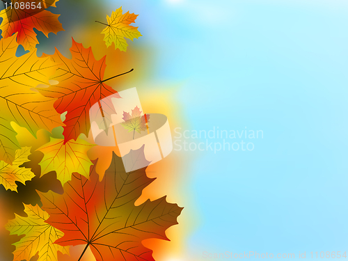 Image of Autumn yellow and green leaves against a blue sky