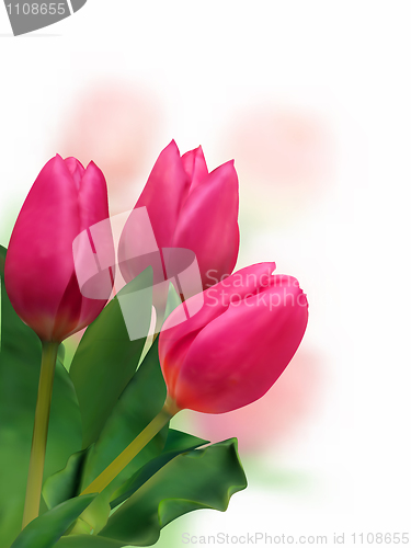Image of Spring Flower Bouquet