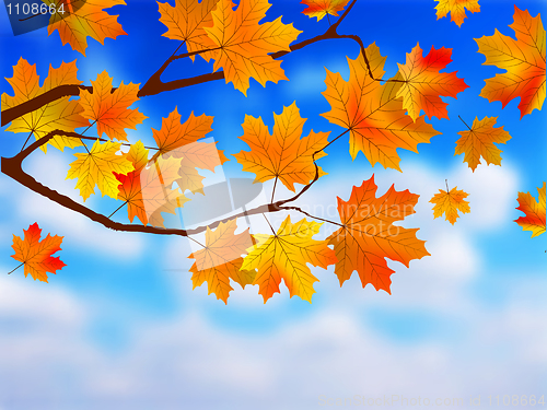 Image of Beautiful Autumn Background against clue sky.