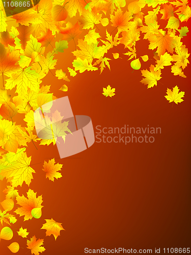 Image of Autumn leaves  background