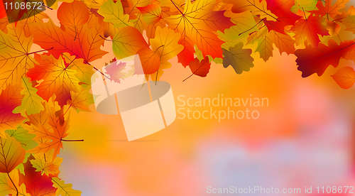 Image of Abstract colorful autumn background