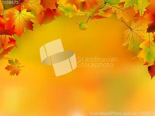 Image of Autumn card of colored leafs with copy space
