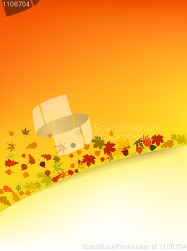 Image of Autumn vector background with leafs.