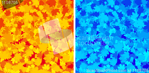 Image of Autumn colorful maple leaves.