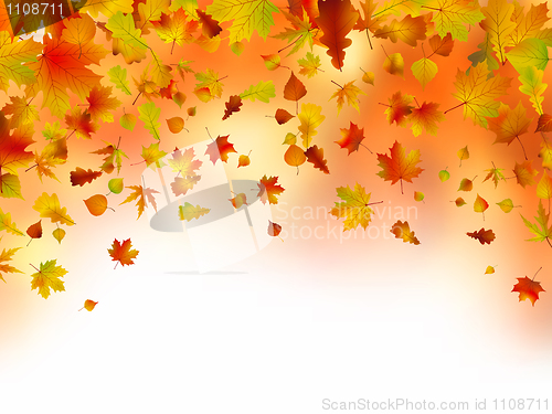 Image of Vivid autumnal leaves frame for your text.