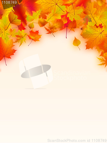 Image of Vivid autumnal leaves frame for your text.