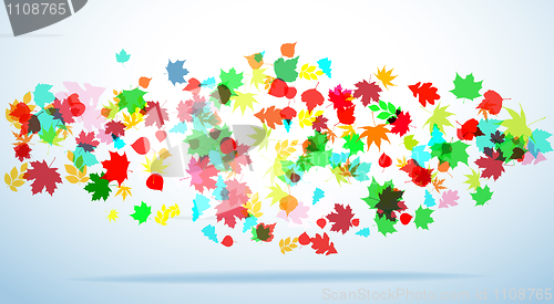 Image of Autumn colorful background