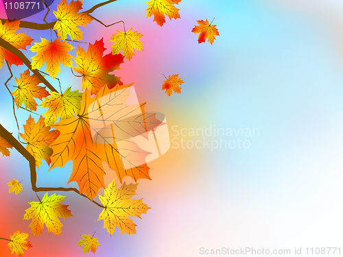Image of Autumn red leaves, shallow focus.