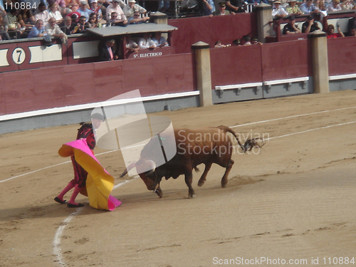 Image of bullfight