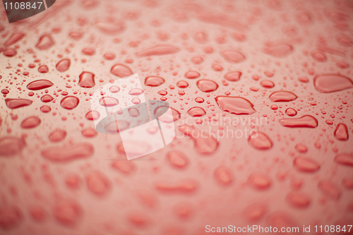 Image of Abstract background - water drops on red plastic