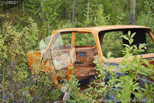 Image of Rusty case of old car in wood