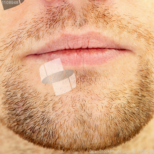 Image of Beard and lips