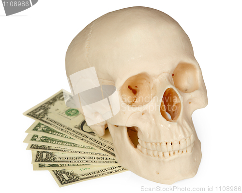 Image of Skull lying on a pack of money isolated on white