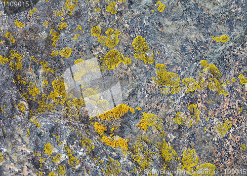 Image of Natural stone with patches of lichen