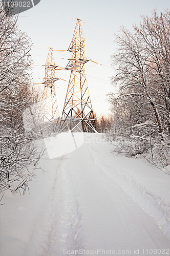 Image of High-voltage support in winter wood