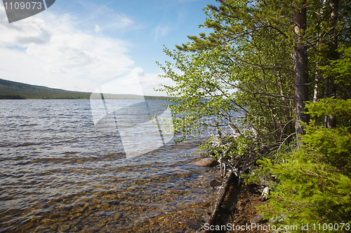 Image of Beach of northern lake