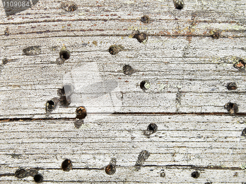 Image of Background - rotten wood