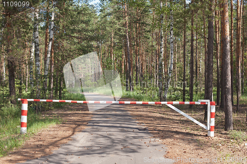 Image of Wooden barrier blocking way to wood