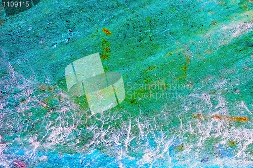 Image of Grunge wall with fungus - background