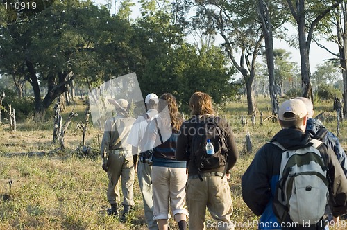 Image of Walking safari