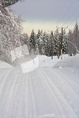 Image of Winter