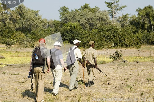 Image of Walking safari