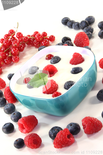 Image of Yogurt