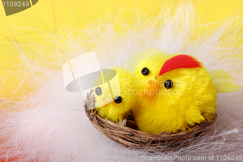 Image of Easter chickens in the nest 